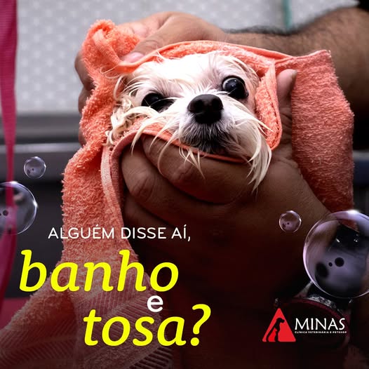 Espaço de Banho e Tosa