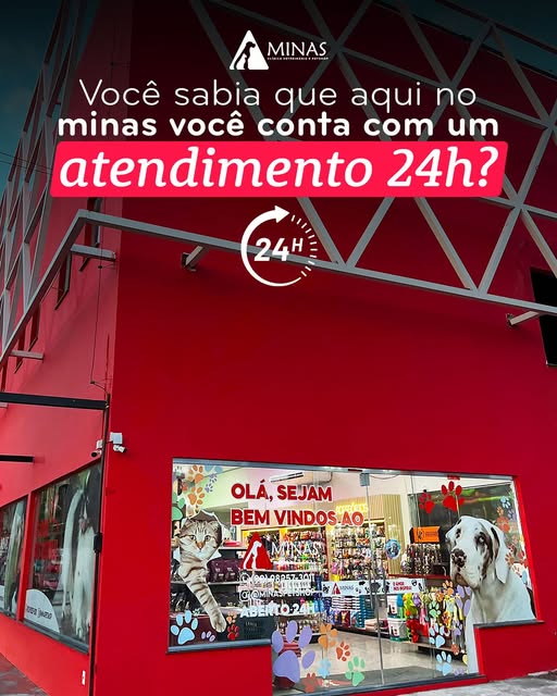 Cuidados veterinários com amor